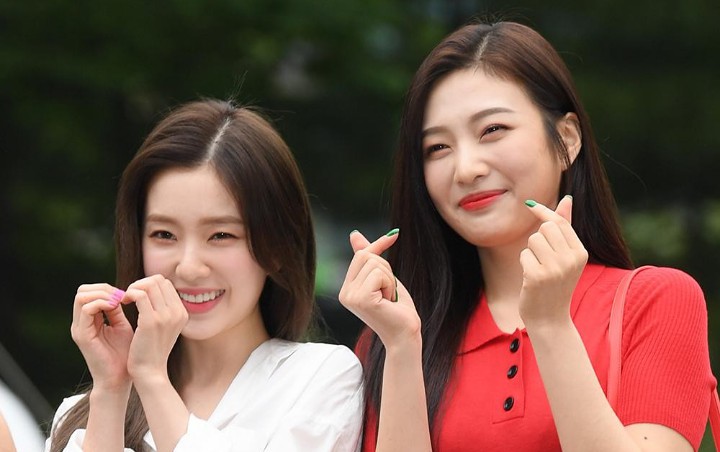 Irene atau Joy Red Velvet, Foto Cantik Ini Bikin Netizen Bingung