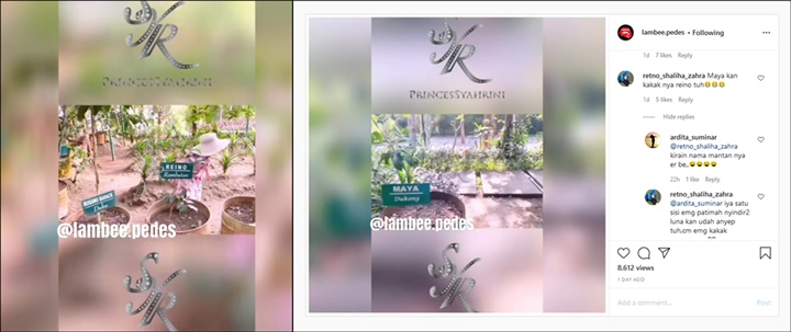 Kebun Keluarga Reino
