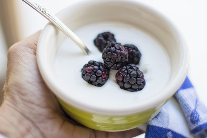 Greek Yogurt