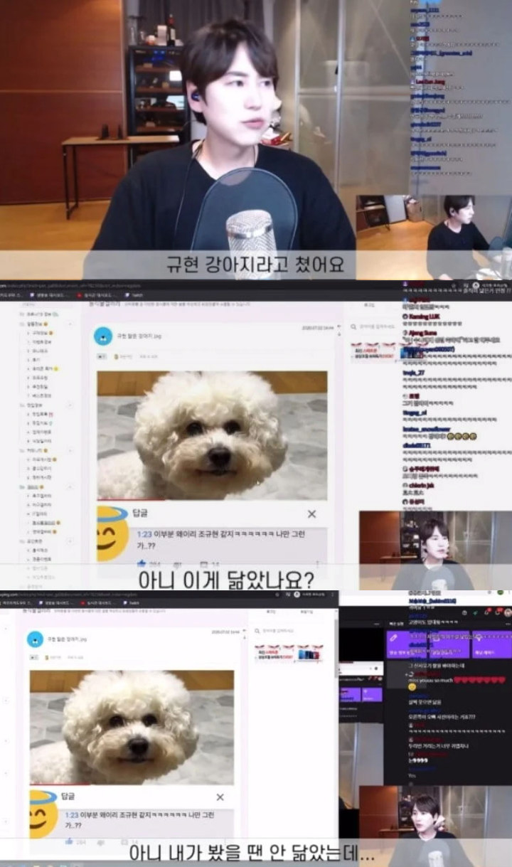 Begini Reaksi Kyuhyun Super Junior Saat Wajahnya Dibilang Mirip Anjing