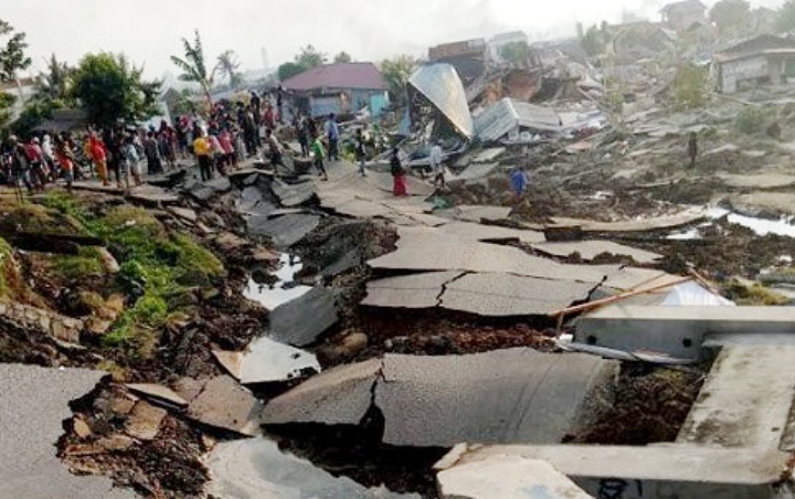 Nyaris Akurat, Makhluk Ini Bisa Jadi Pertanda Datangnya Gempa-Tsunami 