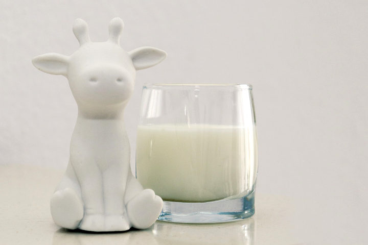 Susu dan Produk Olahannya