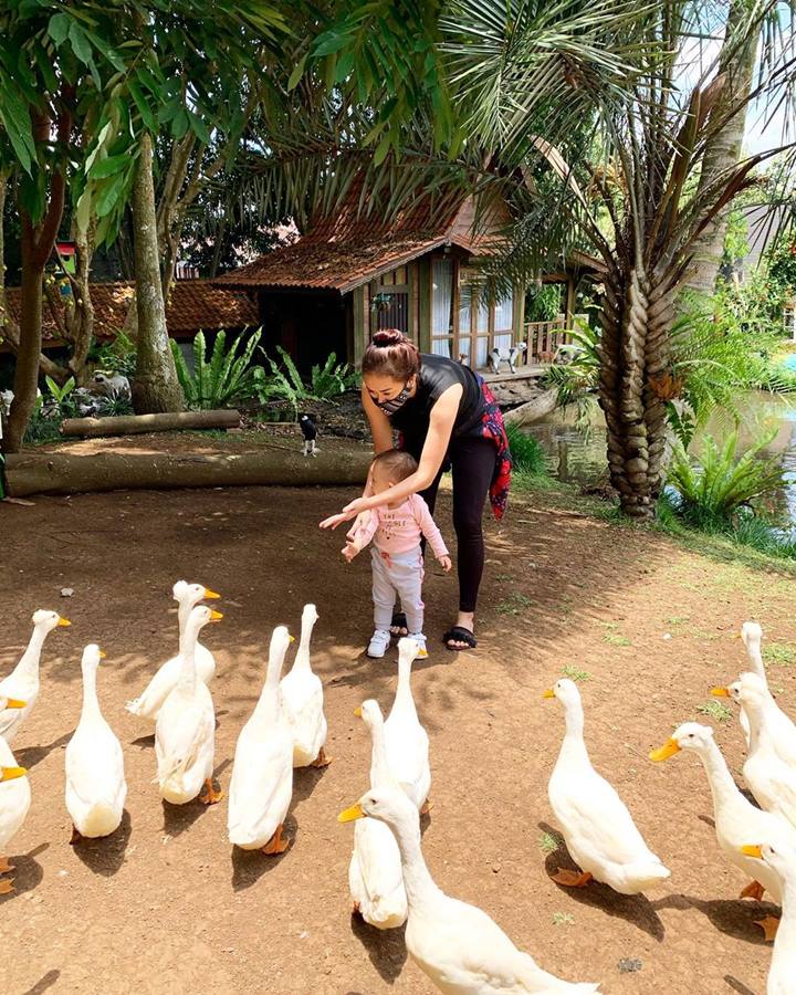 Aura Kasih