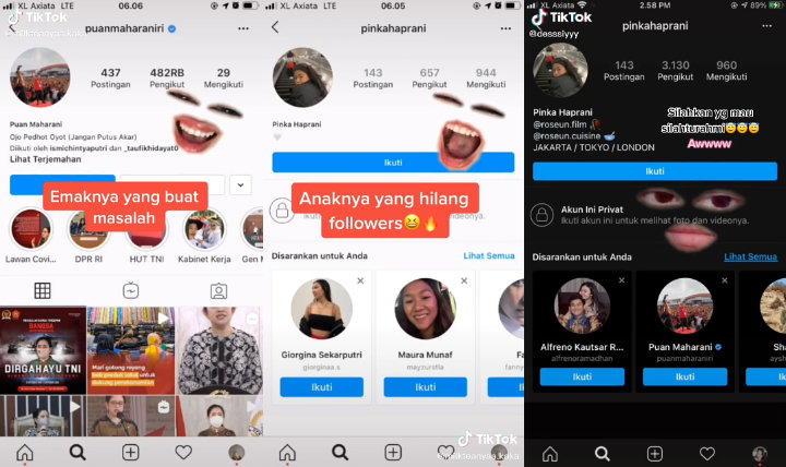 Data Instagram Putri Puan Maharani