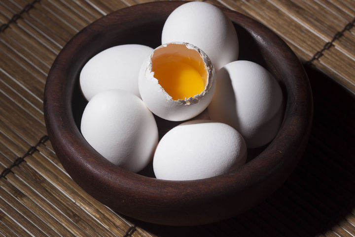 Putih Telur