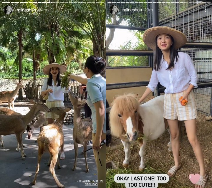 Jadi \'Anak Hutan\' Sejak Kecil, Raline Shah Nyaman Berinetarksi dengan Hewan-hewan Ini