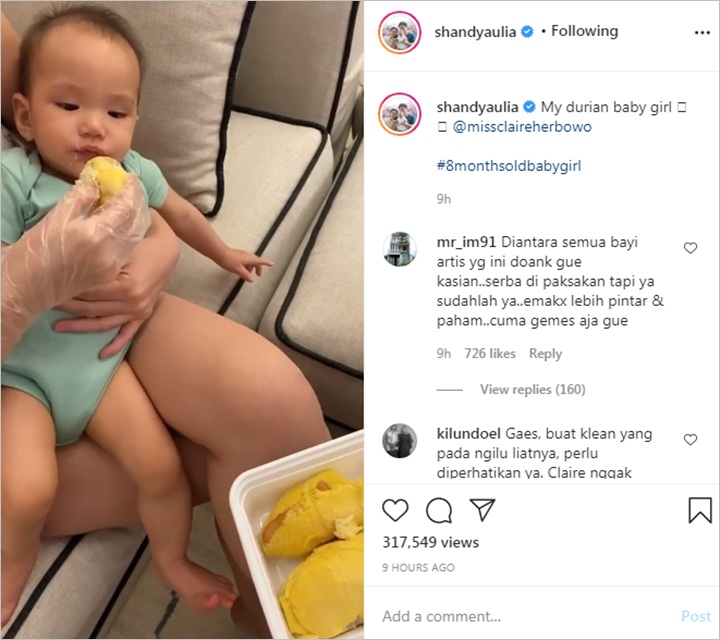 Shandy Aulia
