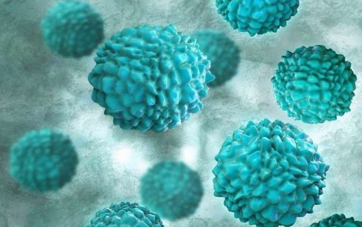 Tak Hanya Tiongkok, Norovirus Juga Mewabah di Indonesia