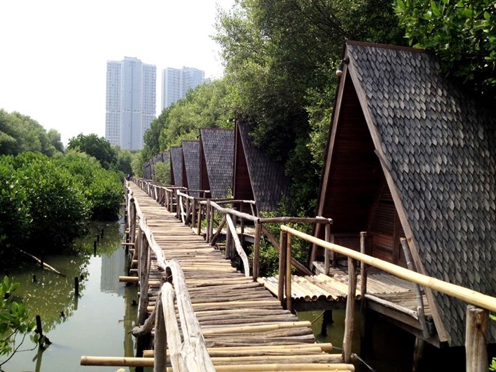 Hutan Mangrove PIK, Jakarta