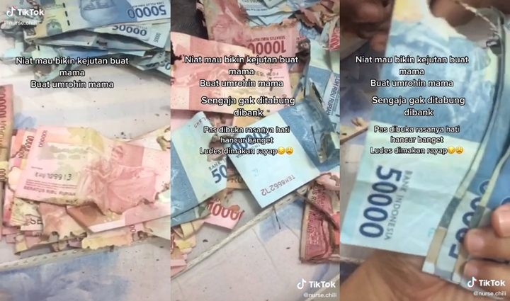 Bikin Nyesek, Tabungan Rp 50 Juta untuk Berangkatkan Umrah Ortu Malah Ludes Dimakan Rayap