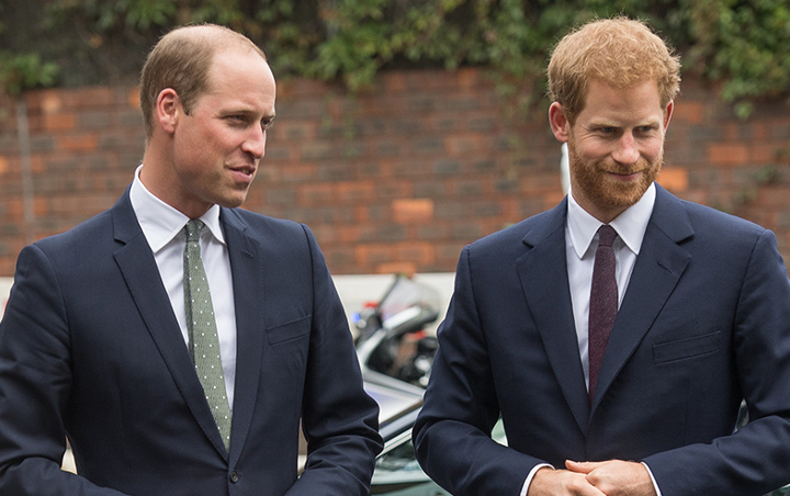 Pakar Kerajaan Ungkap Pangeran William Cemburu pada Popularitas Harry