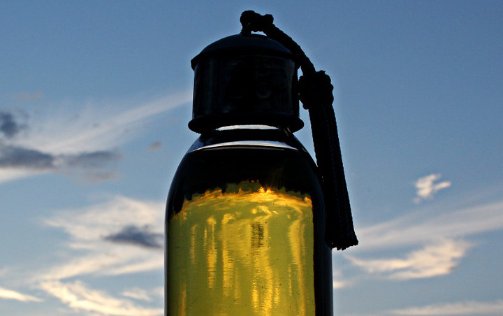 Berkhasiat dan Aman Digunakan, Ini 7 Manfaat Menakjubkan Minyak Argan Untuk Kecantikan