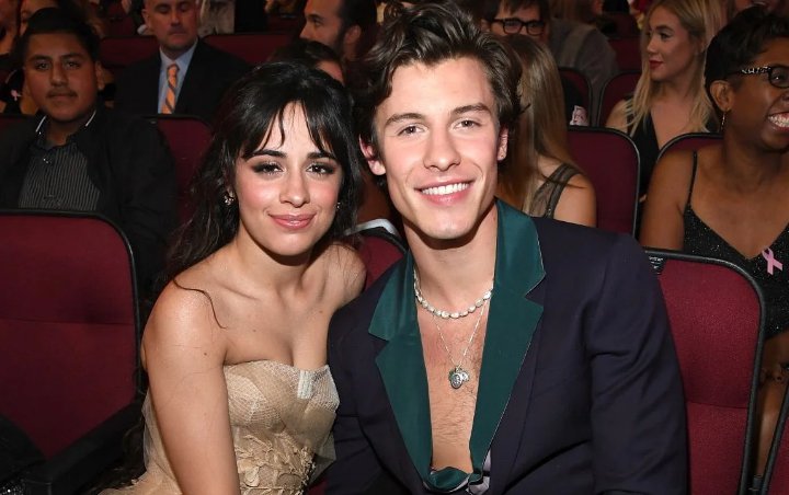 Shawn Mendes Akui Semua Lagunya Terinspirasi dari Camila Cabello