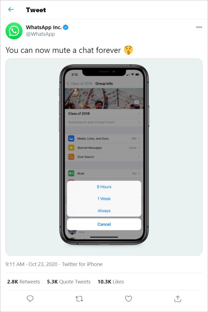 Rilis Fitur Baru, Grup WhatsApp Bisa di-Mute Selamanya