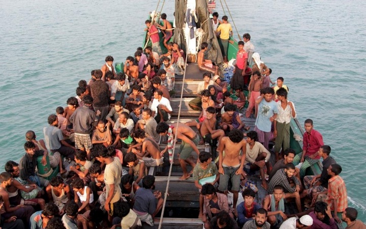 Waduh! 99 Imigran Rohingya Terdampar di Aceh Ternyata Sengaja Diselundupkan 