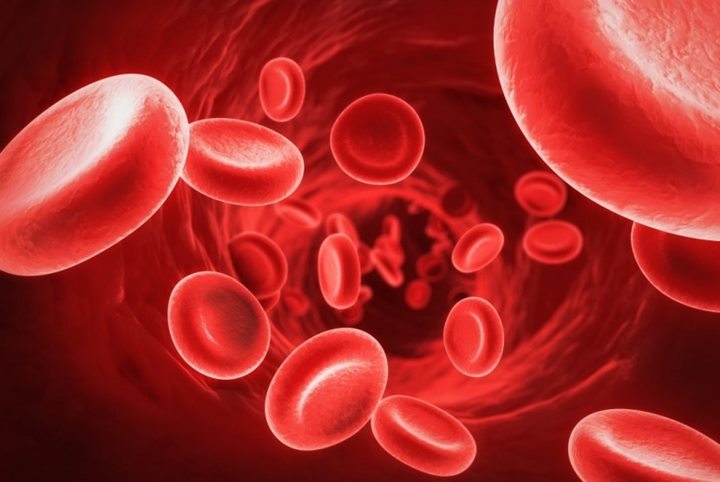Mencegah Anemia