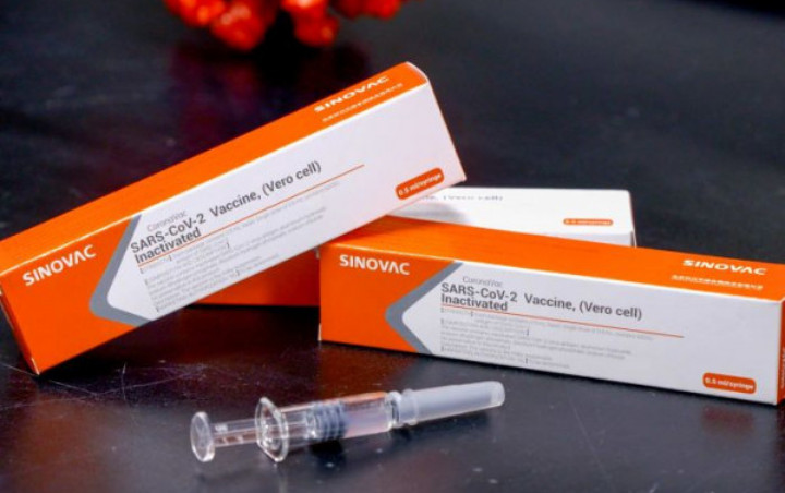 Peneliti Unpad Ungkap Vaksin Corona Sinovac Sudah Lulus Uji Klinis Fase III, Kapan Siap Diedarkan?