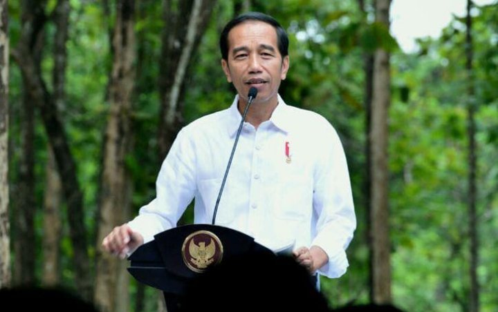 Dorong RI Bebas Impor Pangan, Jokowi Minta Pemuda Tak Malu Jadi Petani
