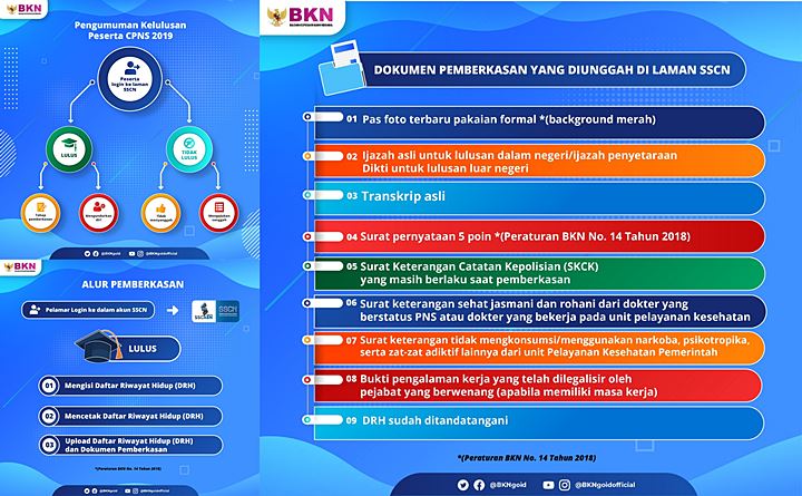 Jangan Sampai Salah! Begini Langkah Selanjutnya Setelah Lolos Seleksi CPNS 2019