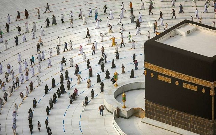 Kemenkes Minta Jemaah Umrah RI Hindari Peternakan Unta, Kenapa?