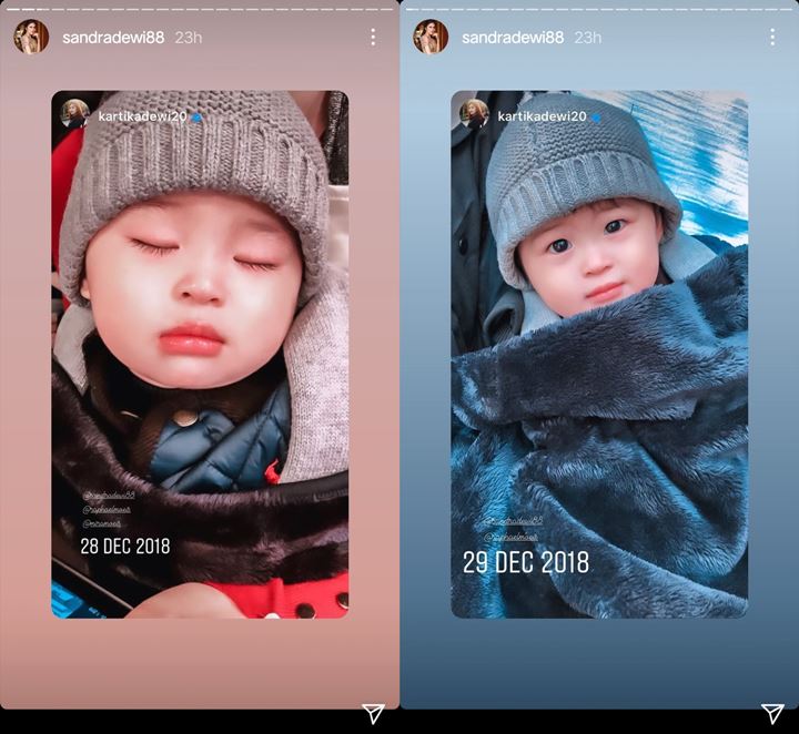 Lucunya Kebangetan, Wajah Raphael Moeis Putra Sandra Dewi Bak Boneka Hidup Bikin Heboh