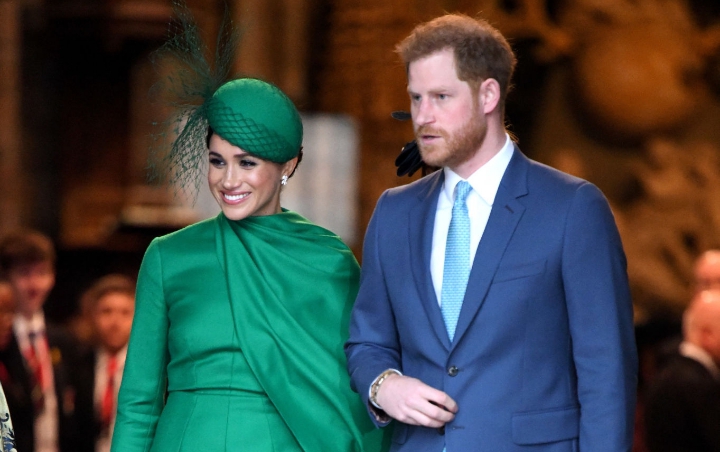 Kebohongan Besar Meghan Markle dan Pangeran Harry Ini Terbongkar di Buku Biografi