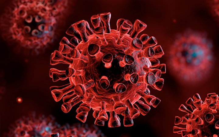 Wabah COVID-19 Belum Usai, Muncul Ancaman Baru Virus Flu H5N8 dari Burung Liar