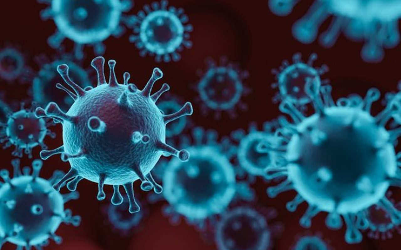 Terungkap Non-Pasien Positif Juga Punya Antibodi Lawan Virus Corona, Kok Bisa?