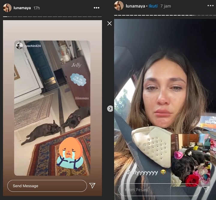InstaStory