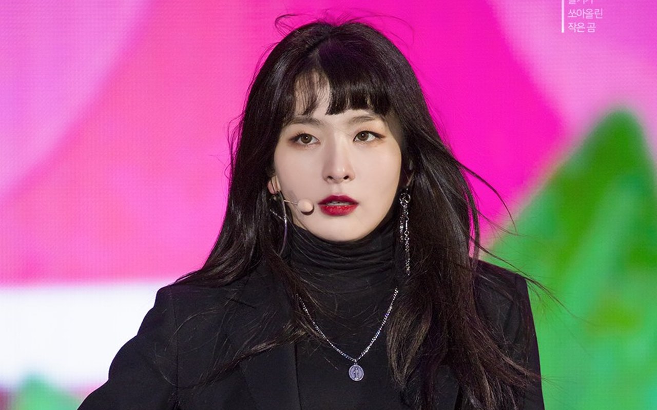 Wajah Cantik Seulgi Red Velvet Tuai Pujian, Dibilang Tak Menua dari Masa Rookie