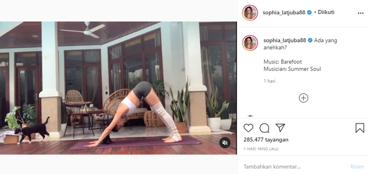 Sophia Latjuba Latihan Yoga Ditemani Kucing, Ada yang Aneh!