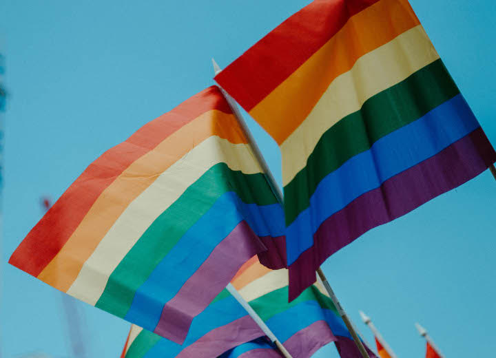  Isu Artis LGBT