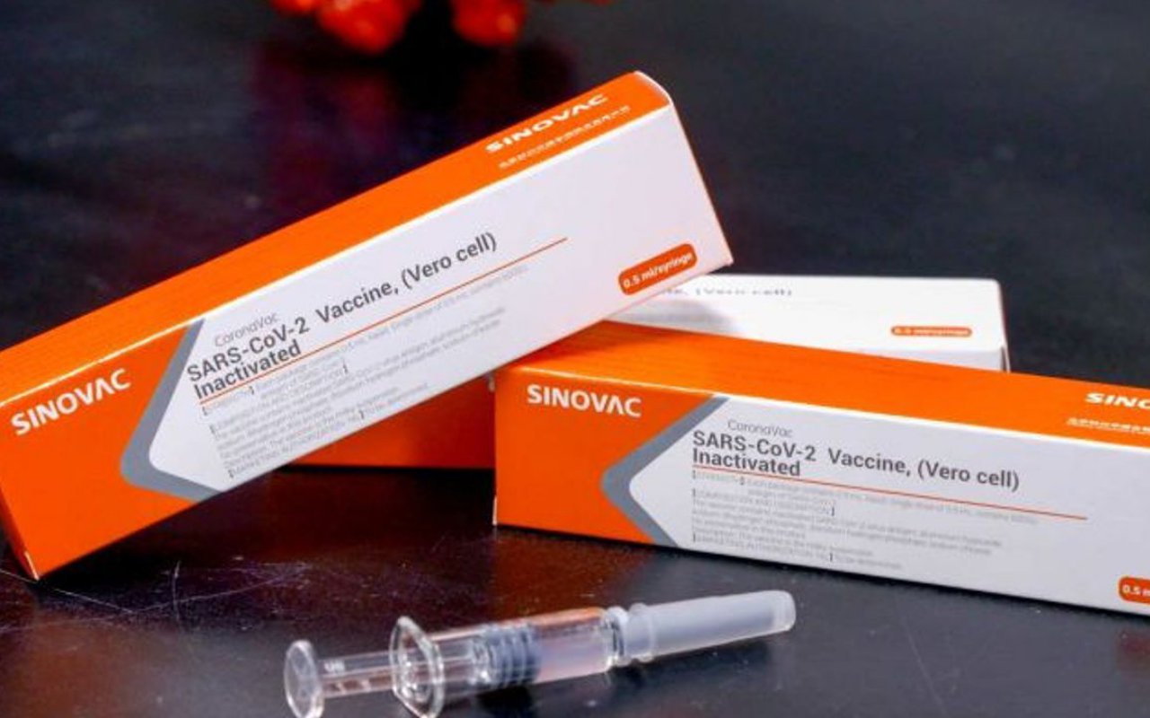 Benarkah Vaksin Sinovac Mengandung Sel Kera Afrika sampai Formalin? Bio Farma Buka Suara