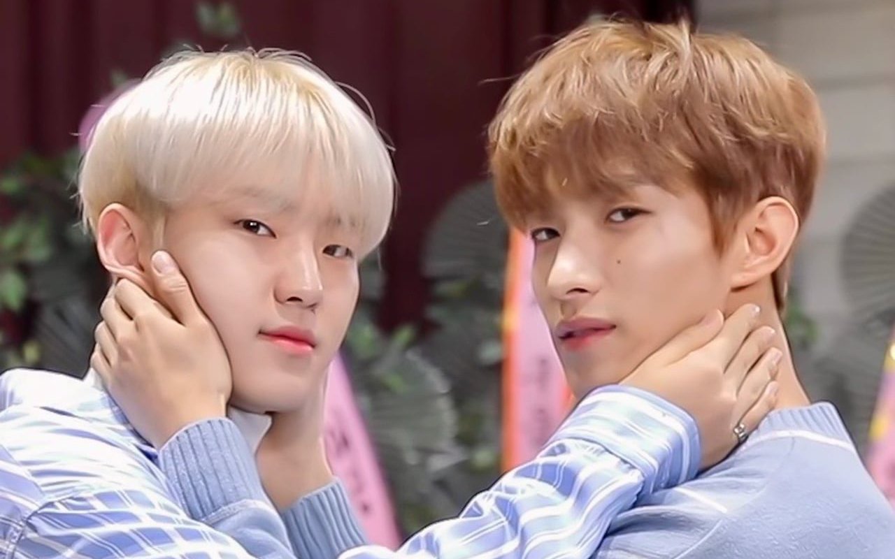 Kocaknya Hoshi SEVENTEEN Saat Mabuk Jadi Genit Hingga Cium ...