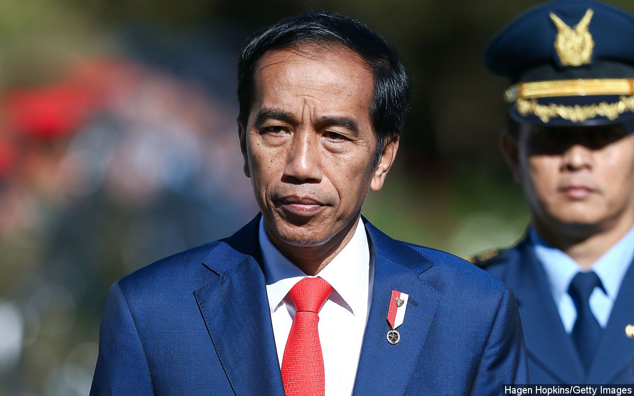 Sebut Banjir di Kalsel Karena Investasi Serampangan, Walhi Minta Jokowi Lihat Langsung