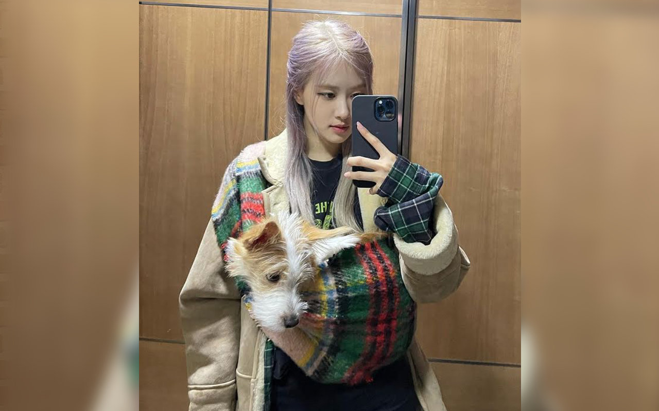 Hank Anjing Peliharaan Rose BLACKPINK Hidup Mewah, Miliki Barang-Barang Mahal Ini