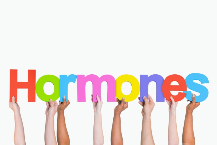 Perubahan Hormonal
