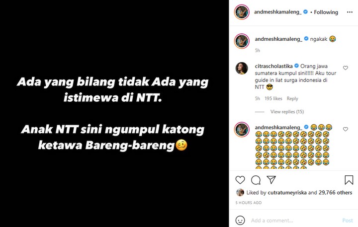 Reaksi Anmesh Soal Viral Komisi V DPR Terkait NTT