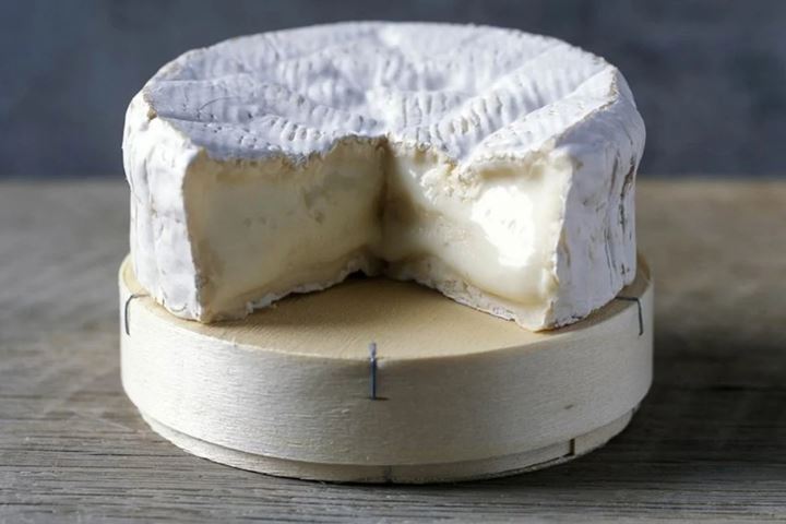 Camembert