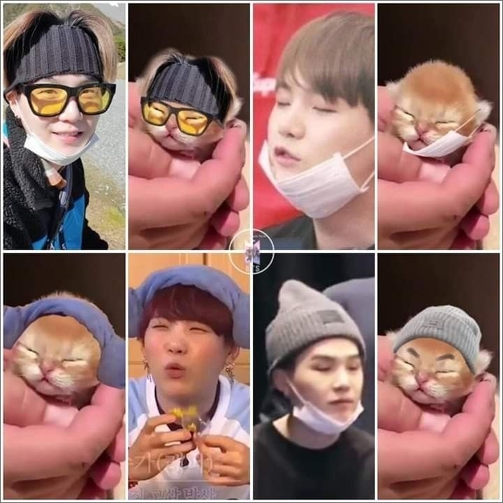 Kemiripan Suga BTS dengan Kucing Valid No Debat 3