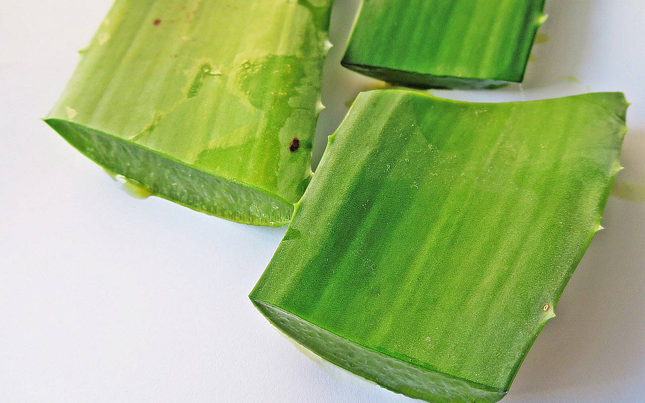 Kaya Vitamin E, Ini 8 Rekomendasi Produk Skincare Aloe Vera yang Bagus untuk Kulit