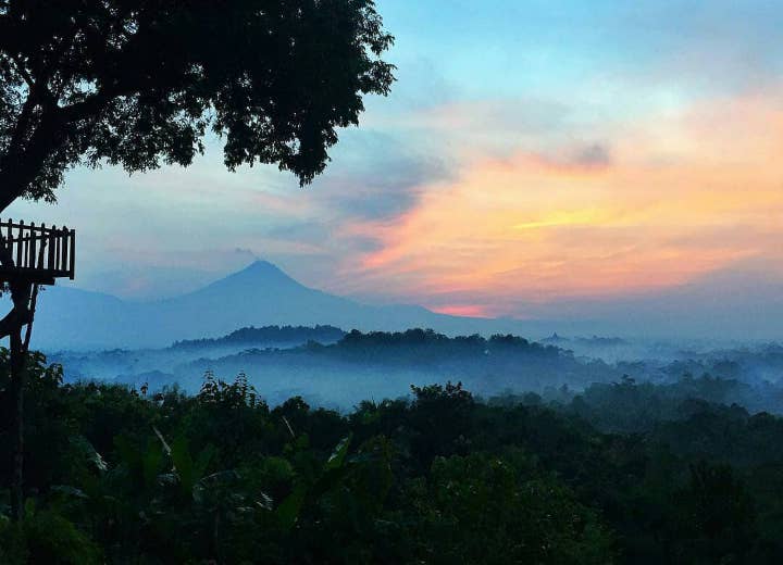 Serunya Rumah Pohon di Bukit Barede