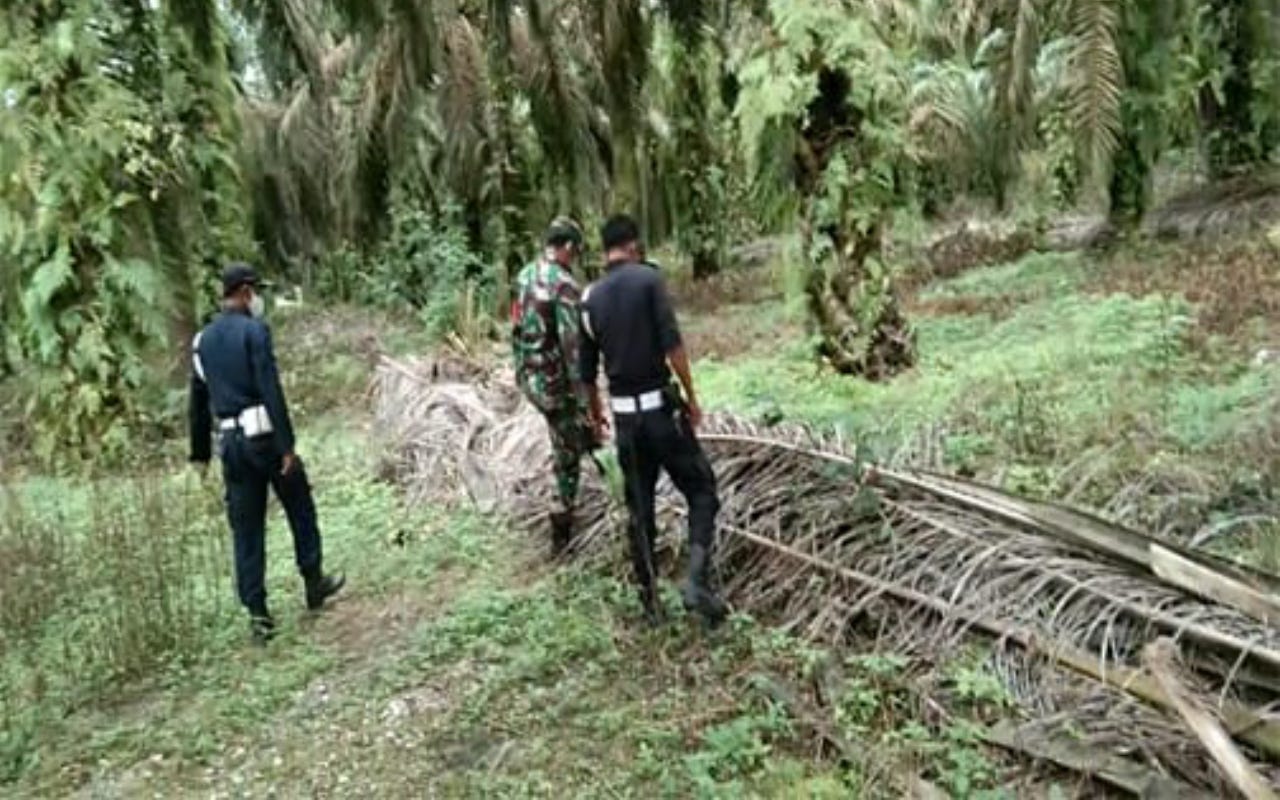 Karhutla Kembali Terjadi di Kalbar, Pontianak Diprediksi Terselimuti Kabut Asap