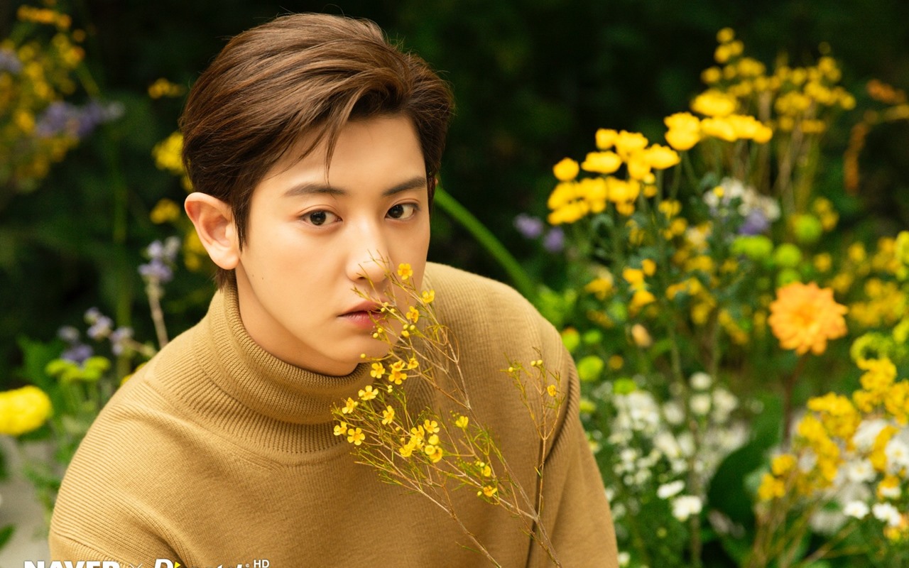 'The Box' menandai peran pertama Chanyeol dalam film Korea. Film ini menceritakan penyanyi yang bercita-cita tinggi dan produser musik yang dulunya sukses besar di industri.