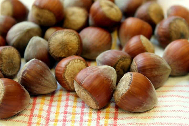 Kacang Hazel