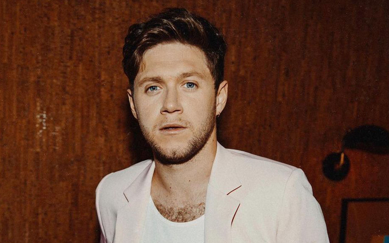 Lama Tak Terlihat, Niall Horan Akhirnya Pamer Video Mirror Selfie Lagi