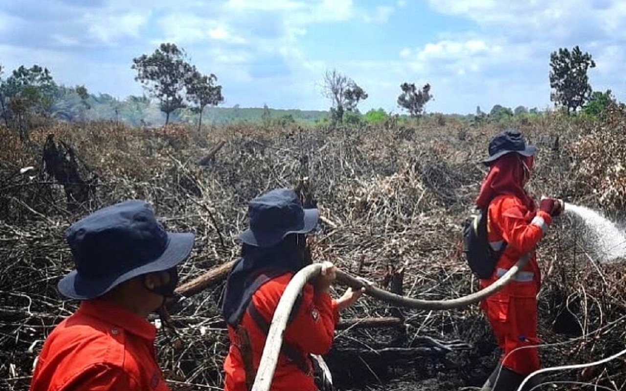 Karhutla Meluas, KLHK Targetkan Restorasi 1,2 Juta Hektar Lahan Gambut Selama 4 Tahun