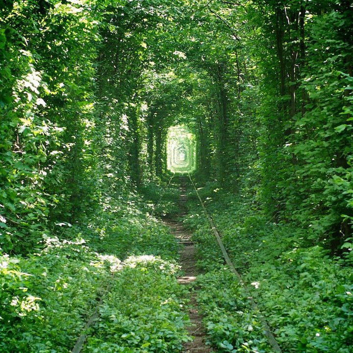 Momen Sempurna di Tunnel of Love, Ukraina
