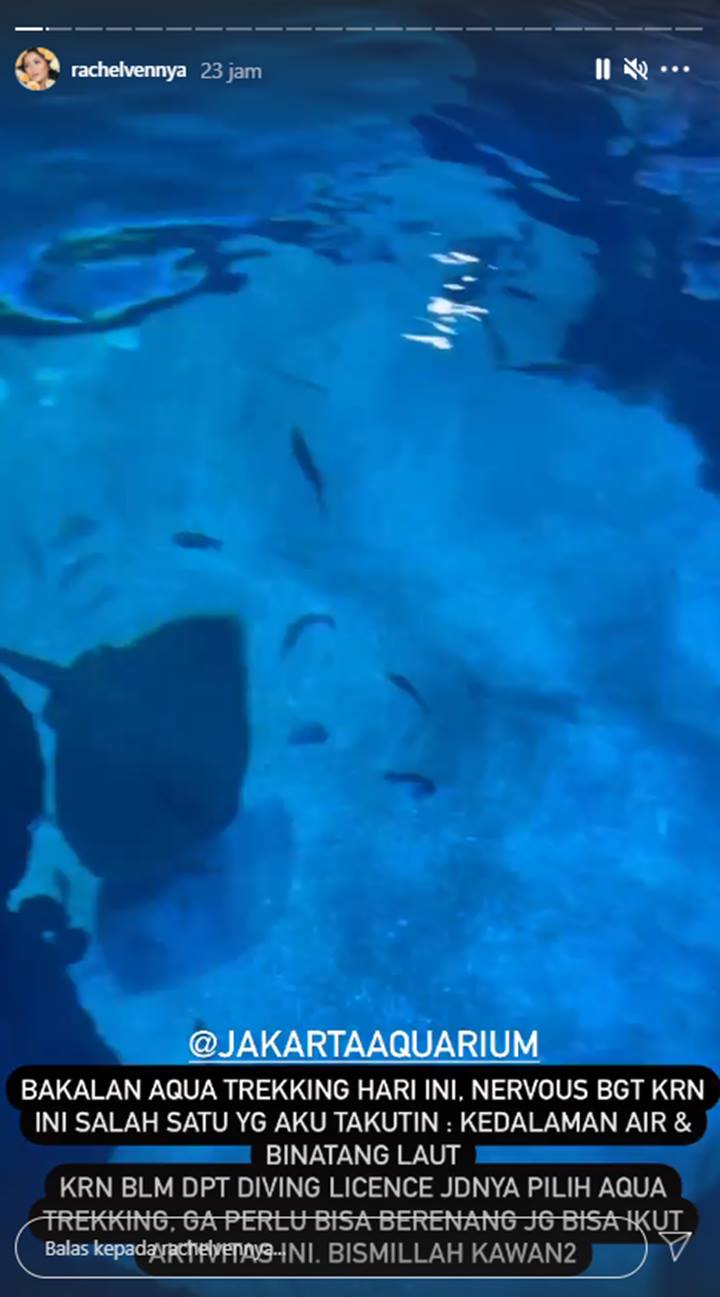 Takut Diving Rachel Vennya Akui Percaya Ikan Pari Kutukan Anak Durhaka