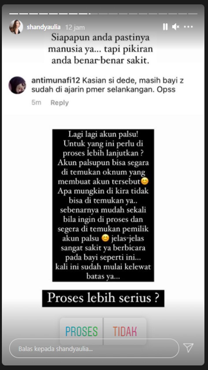 Shandy Aulia Ancam Polisikan Haters Yang Hina Baby Claire